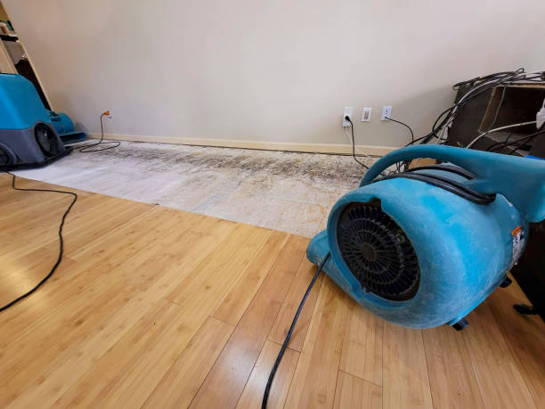 Professional Water Removal technician working in Kimberly, WI